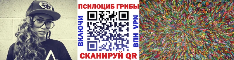 Псилоцибиновые грибы мухоморы  магазин    ОМГ ОМГ рабочий сайт  Гаджиево 